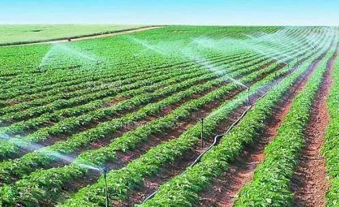 日逼日逼农田高 效节水灌溉